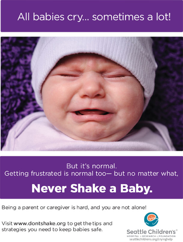 Cover of Never Shake a Baby poster