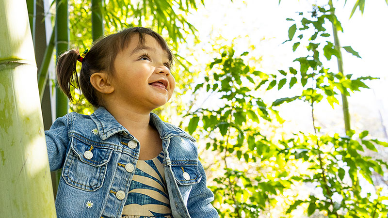 A girl in a bamboo forest